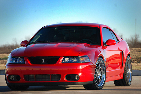 2004 Cobra terminator mustang