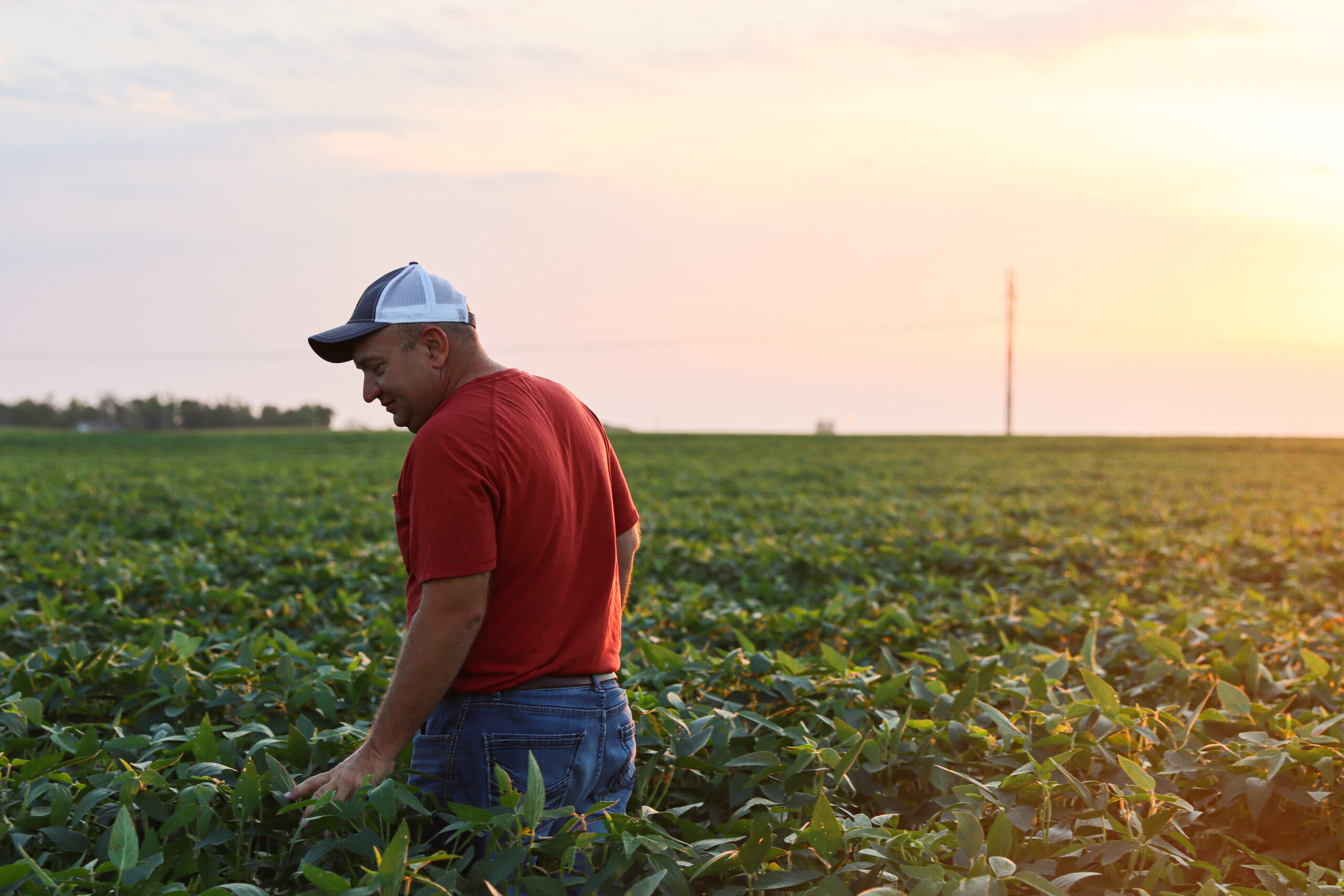 farmer