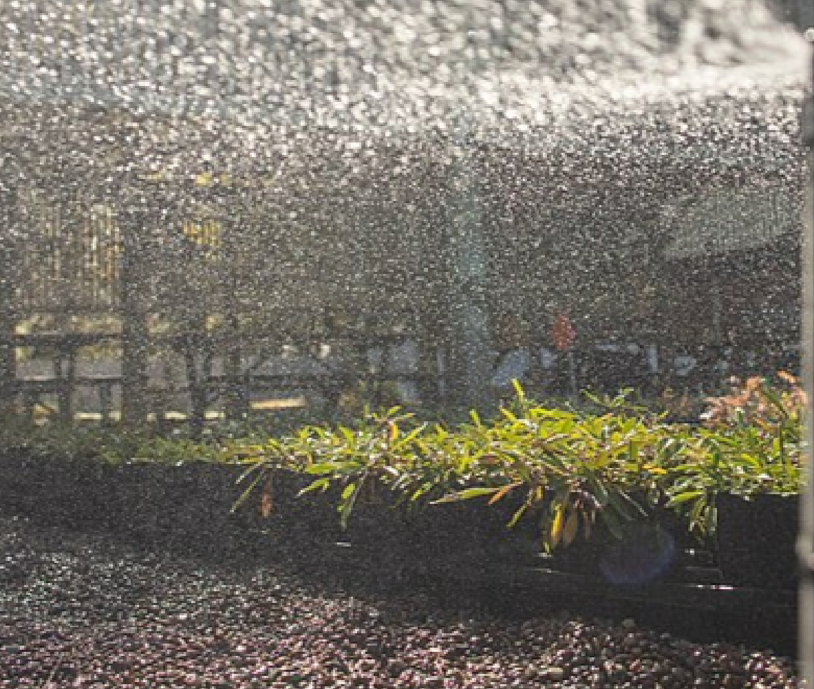 sprinkler