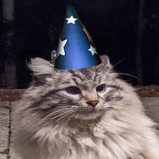 A cat in a wizard hat