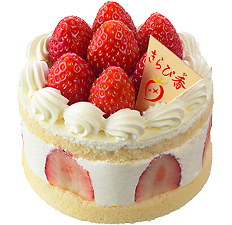 A cat in a loaf pose