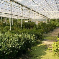 Trees & Shrubs