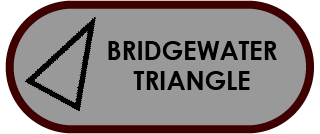 Bridgewater Triangle Button