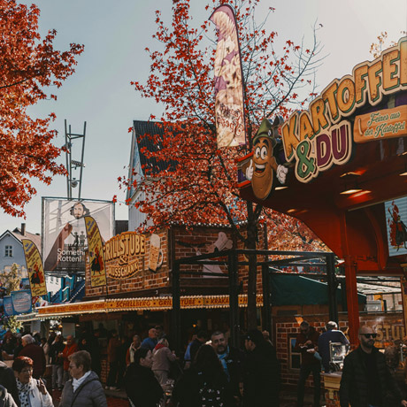Fall festival