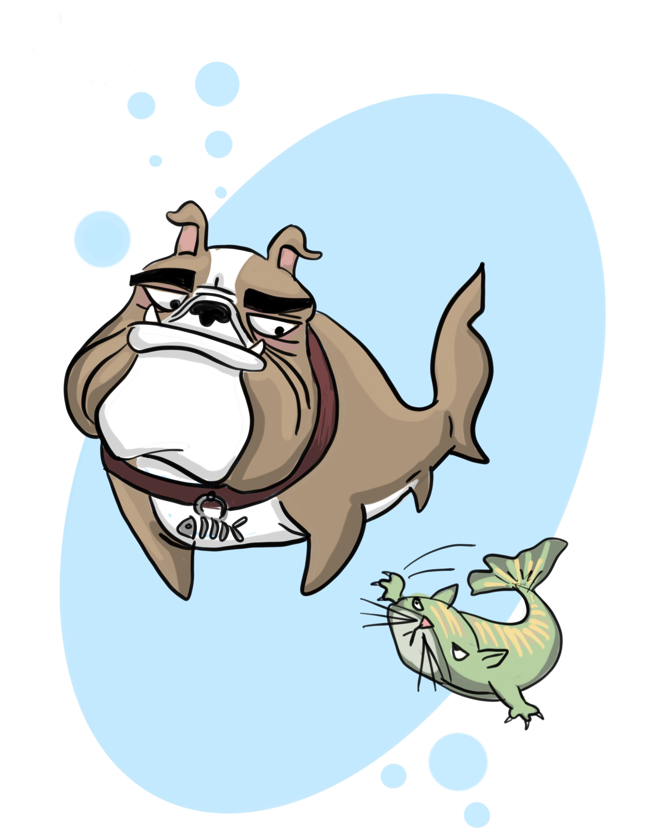 Dogfish shark