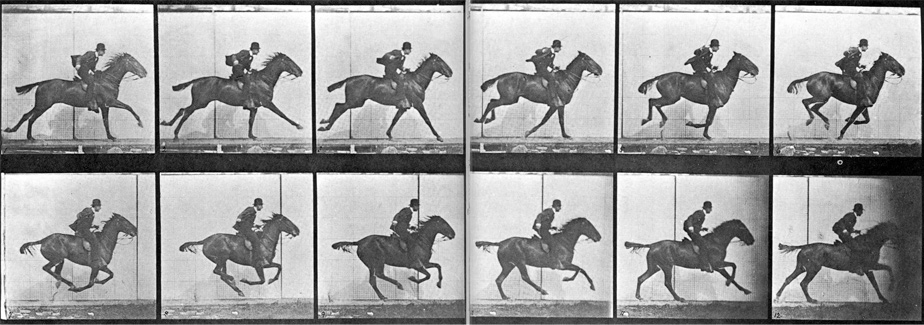 Resulting images from Muybridge's horse gallop experiment