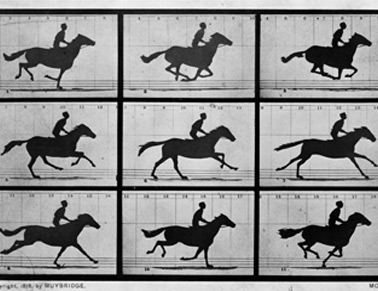 Muybridge's motion study of a galloping horse