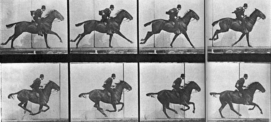 Muybridge motion study of a forse in motion